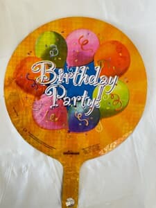 Birthday Party 23cm