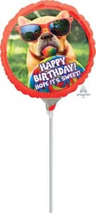 Avanti Happy Birthday Hope Its Sweet Pug 23cm