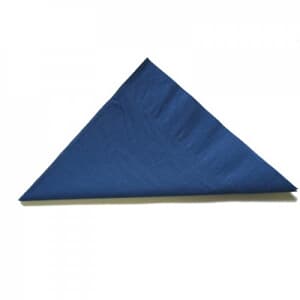 Alpen Dark Blue Lunch Napkin 2ply P100x20