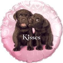 Puppy Kisses 45cm