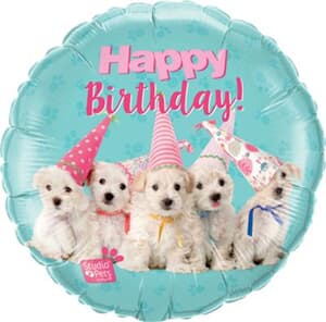 Qualatex Balloons Studio Pets - Birthday Puppies 45cm